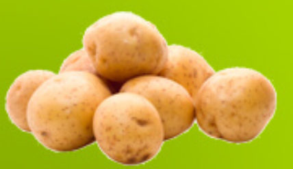 Способы посадки картофеля