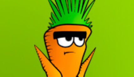 Почему трескается морковь на грядке