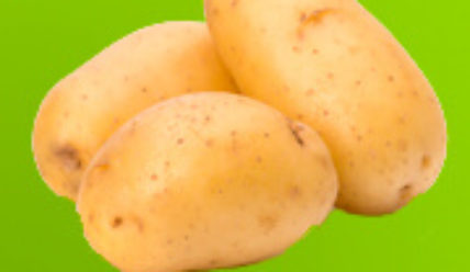Какие сорта картофеля лучше использовать для посадки