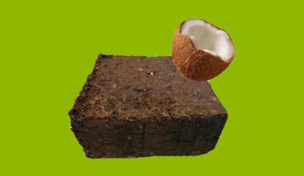 Как использовать кокосовый субстрат